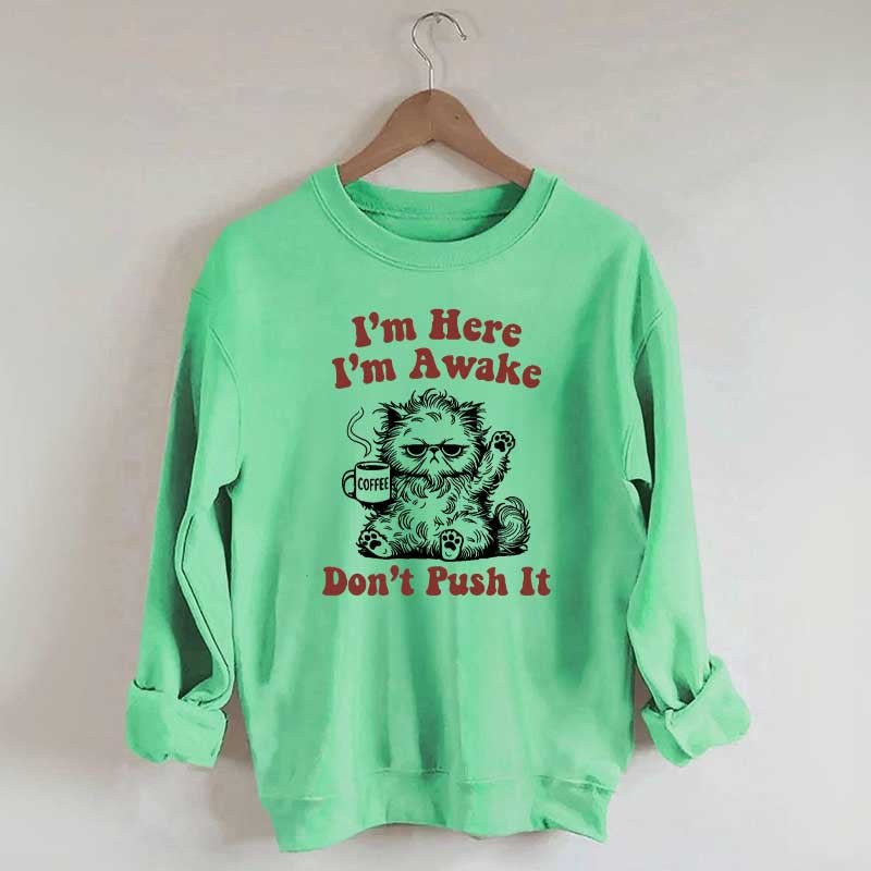 I'm Here I'm Awake Don't Push It Cat Sweatshirt