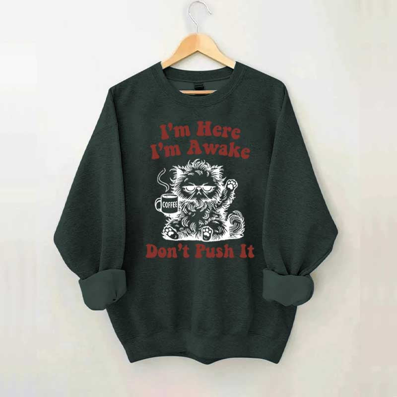 I'm Here I'm Awake Don't Push It Cat Sweatshirt