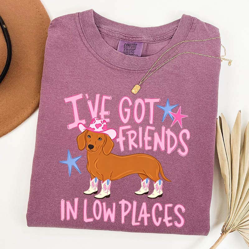 I've Got Friends In Low Places T-Shirt