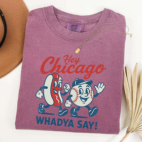 Hey Chicago Funny Baseball T-Shirt