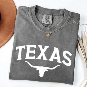 Retro Comfort Colors Texas T-Shirt