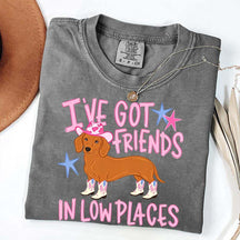 I've Got Friends In Low Places T-Shirt