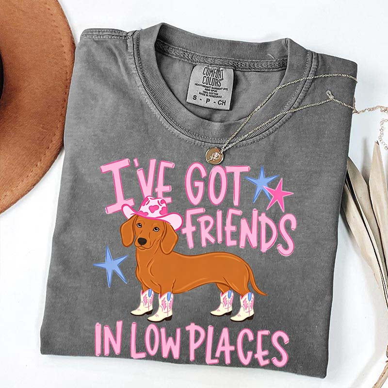 I've Got Friends In Low Places T-Shirt