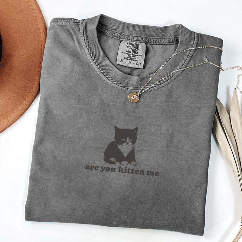 Are You Kitten Me Funny Cat Meme T-Shirt