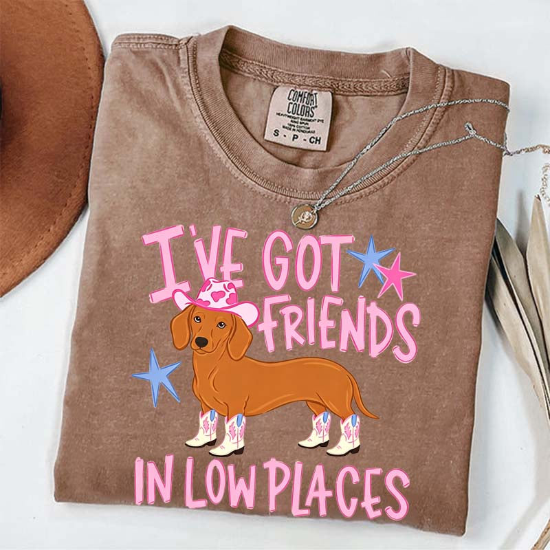 I've Got Friends In Low Places T-Shirt