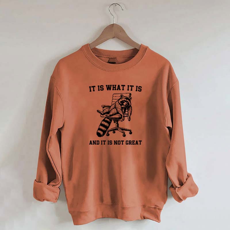 It Is What It Is Racoon Sweatshirt