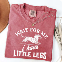I Have Little Legs Dachshund T-Shirt
