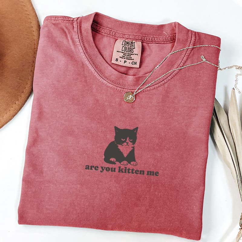 Are You Kitten Me Funny Cat Meme T-Shirt