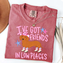 I've Got Friends In Low Places T-Shirt