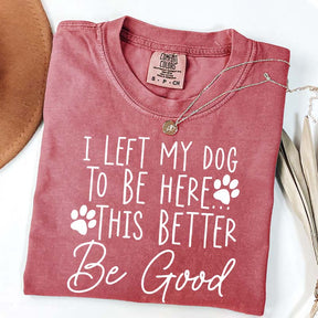 I Left My Dog To Be Here This Better Be Good Funny T-Shirt