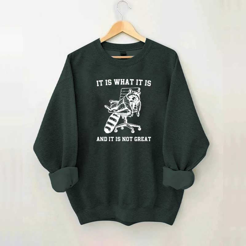 It Is What It Is Racoon Sweatshirt