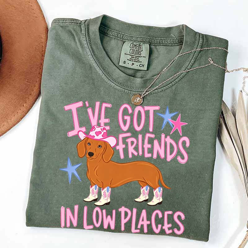I've Got Friends In Low Places T-Shirt