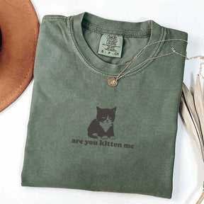 Are You Kitten Me Funny Cat Meme T-Shirt
