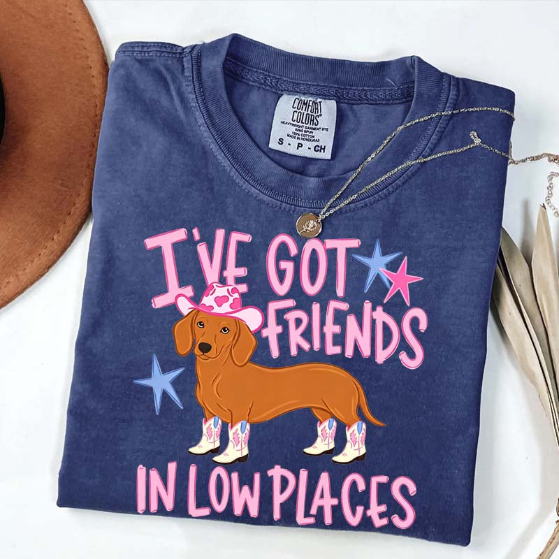 I've Got Friends In Low Places T-Shirt