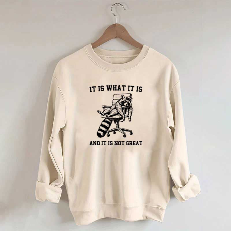 It Is What It Is Racoon Sweatshirt