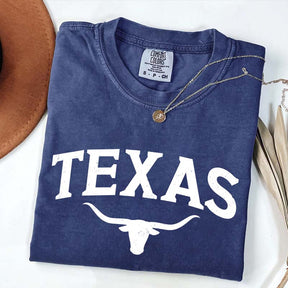 Retro Comfort Colors Texas T-Shirt