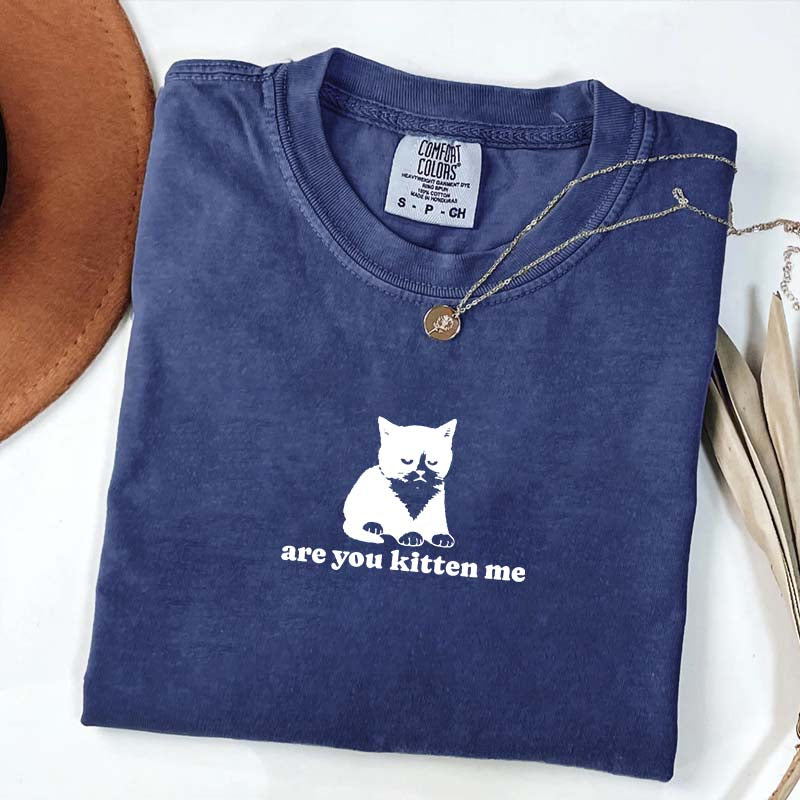 Are You Kitten Me Funny Cat Meme T-Shirt