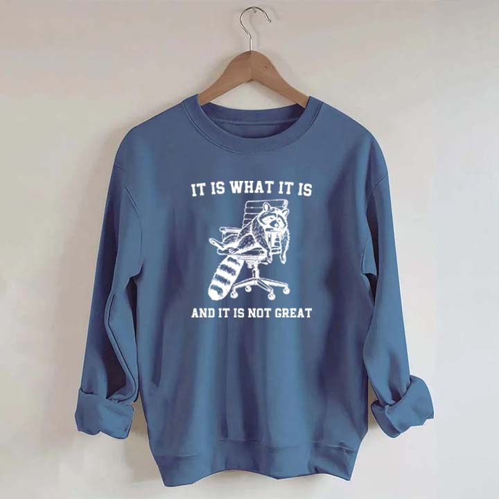 It Is What It Is Racoon Sweatshirt