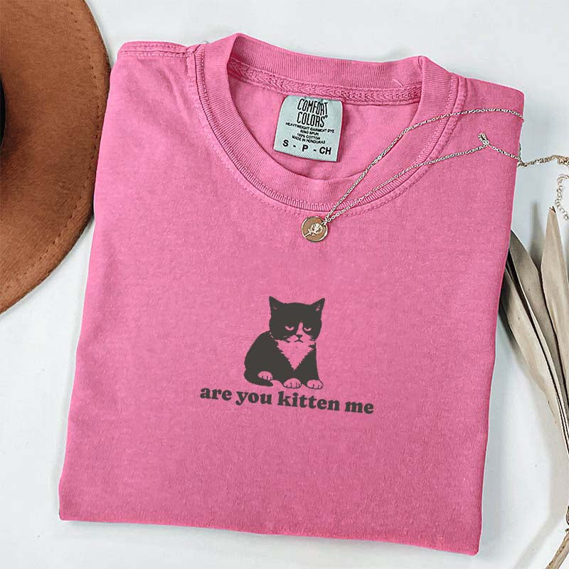 Are You Kitten Me Funny Cat Meme T-Shirt