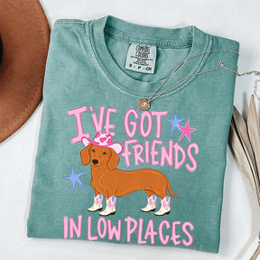 I've Got Friends In Low Places T-Shirt