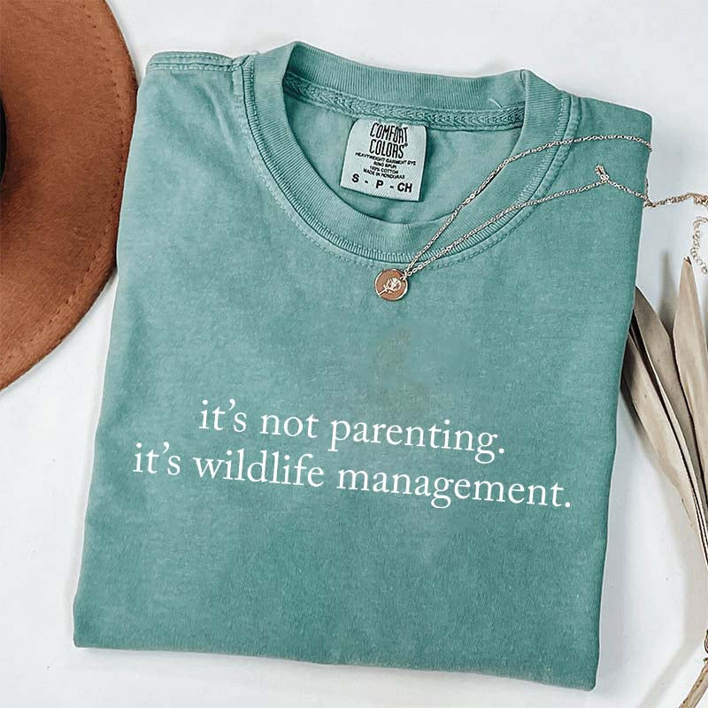 Funny It's Not Parenting T-Shirt