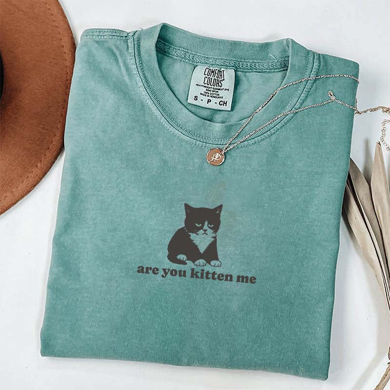Are You Kitten Me Funny Cat Meme T-Shirt