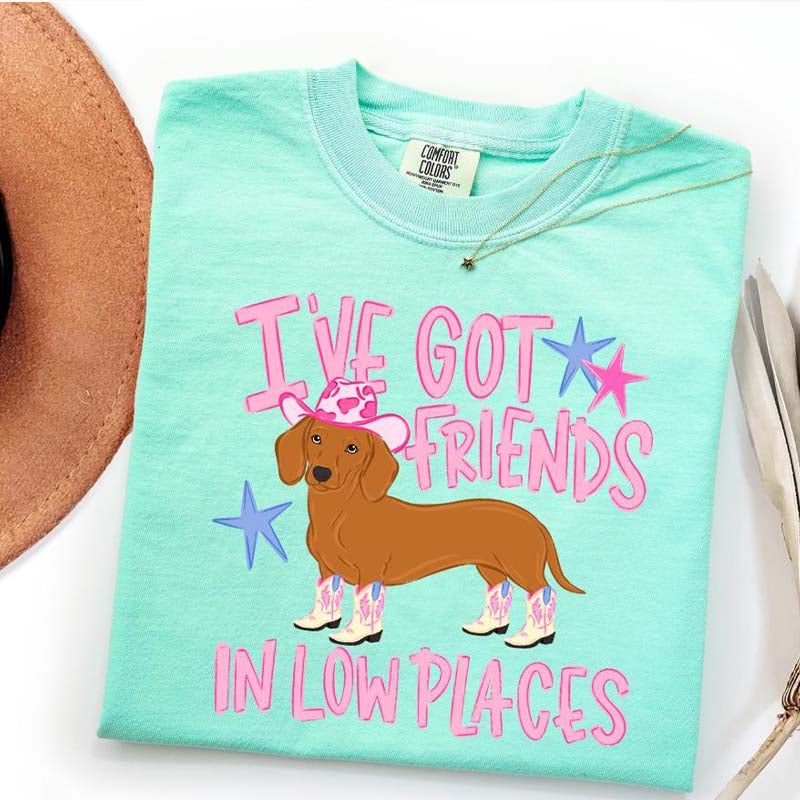 I've Got Friends In Low Places T-Shirt