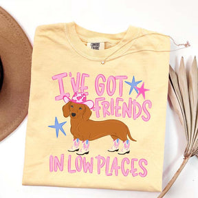 I've Got Friends In Low Places T-Shirt