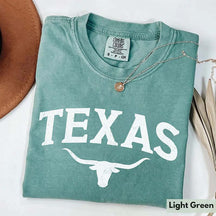 Comfort Colors Texas Travel T-Shirt