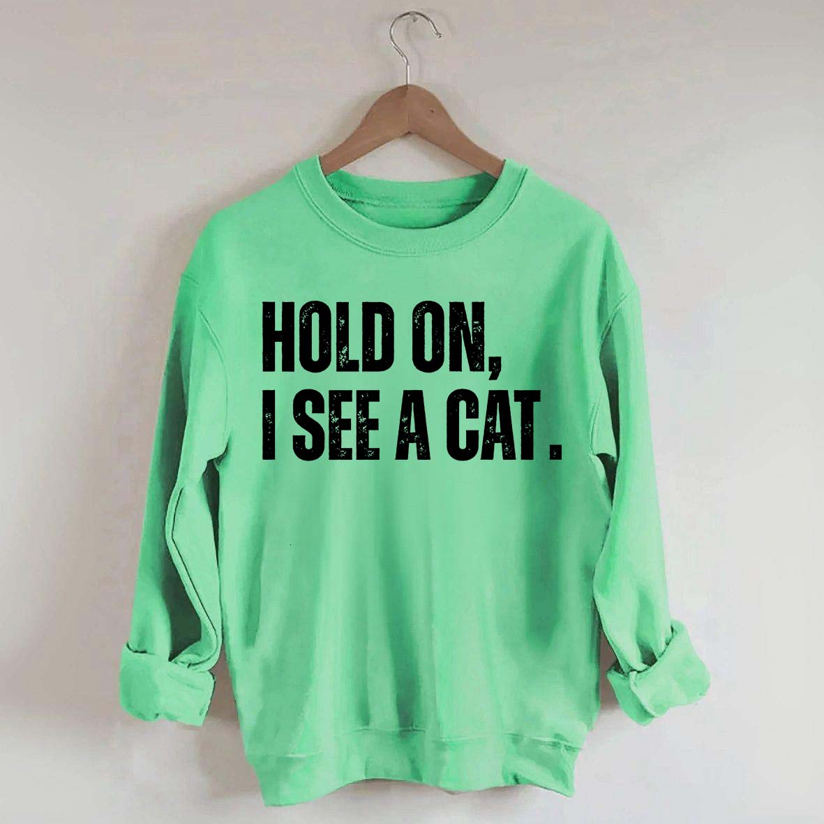 Hold On I See A Cat Sweatshirt