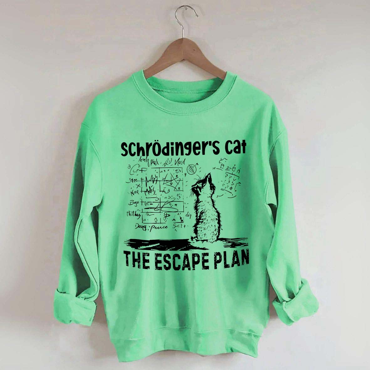 Funny Physics Science Cat Sweatshirt