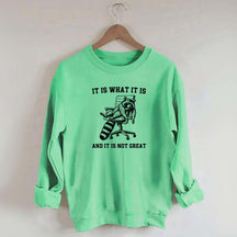 It Is What It Is Racoon Sweatshirt
