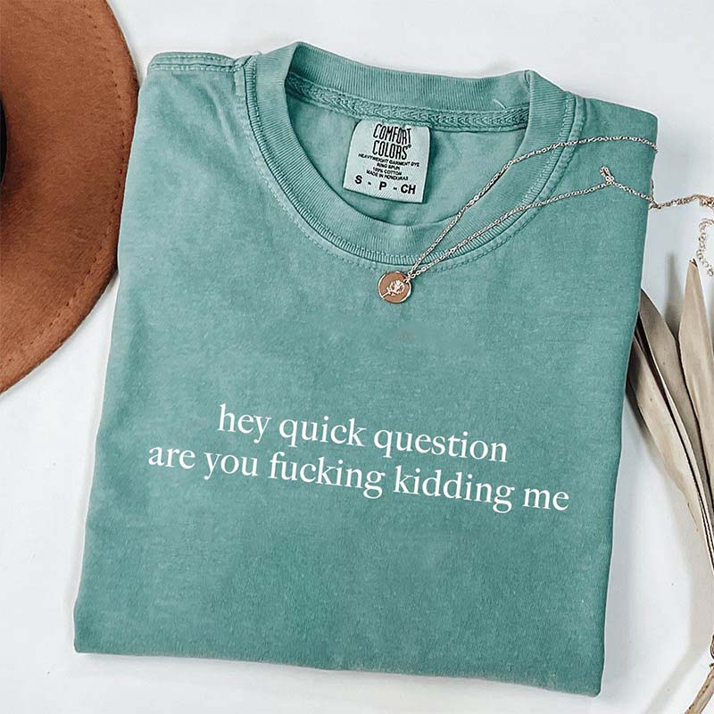 Hey Quick Question Are You Kidding Me T-Shirt