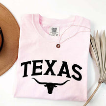 Retro Comfort Colors Texas T-Shirt