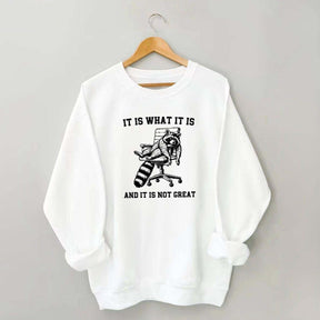 It Is What It Is Racoon Sweatshirt