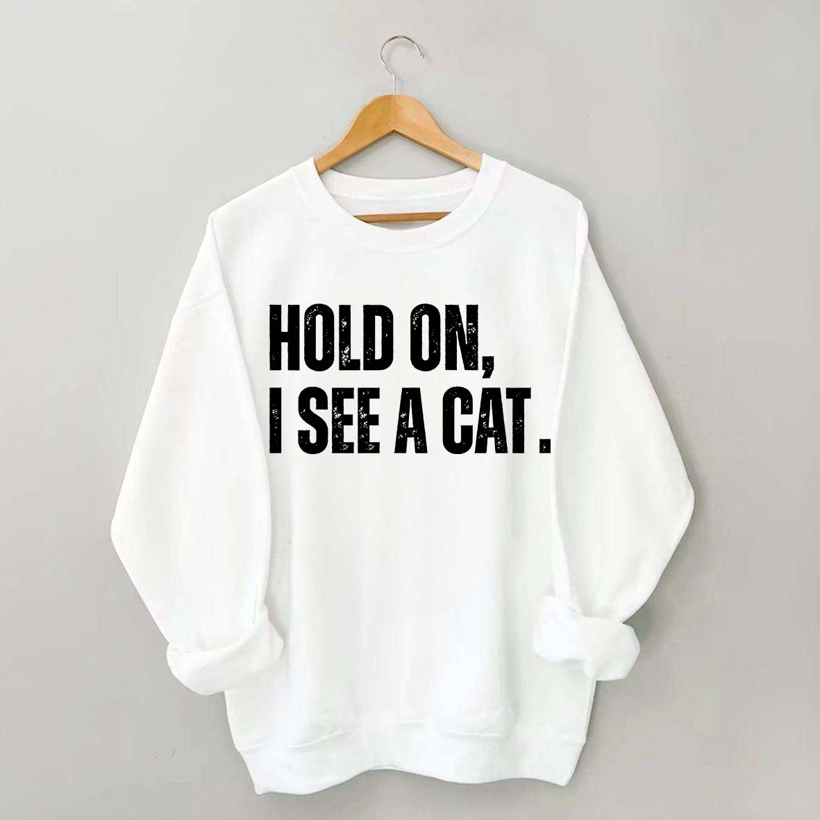 Hold On I See A Cat Sweatshirt