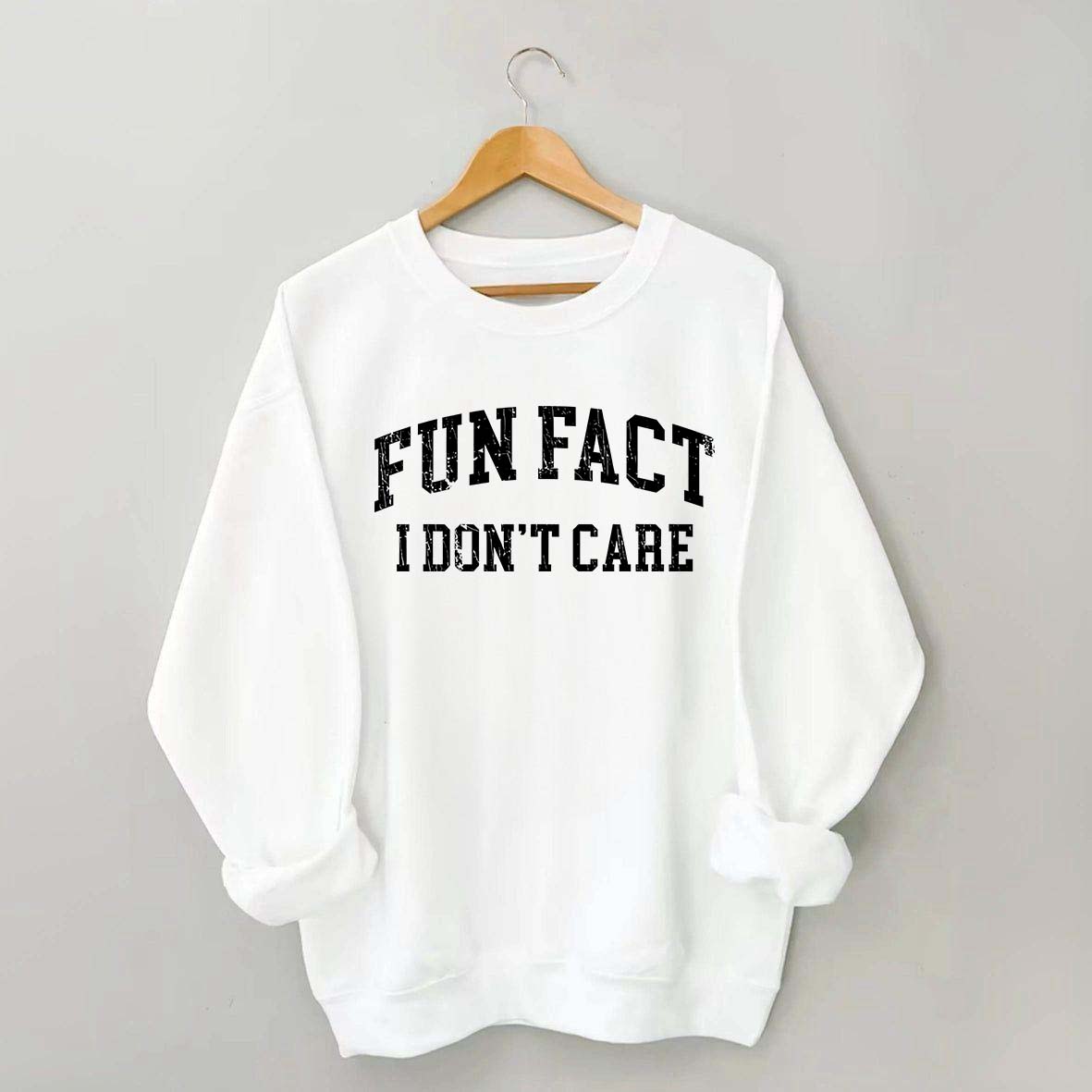 Fun Fact I Don't Care Sarcasm Sweatshirt