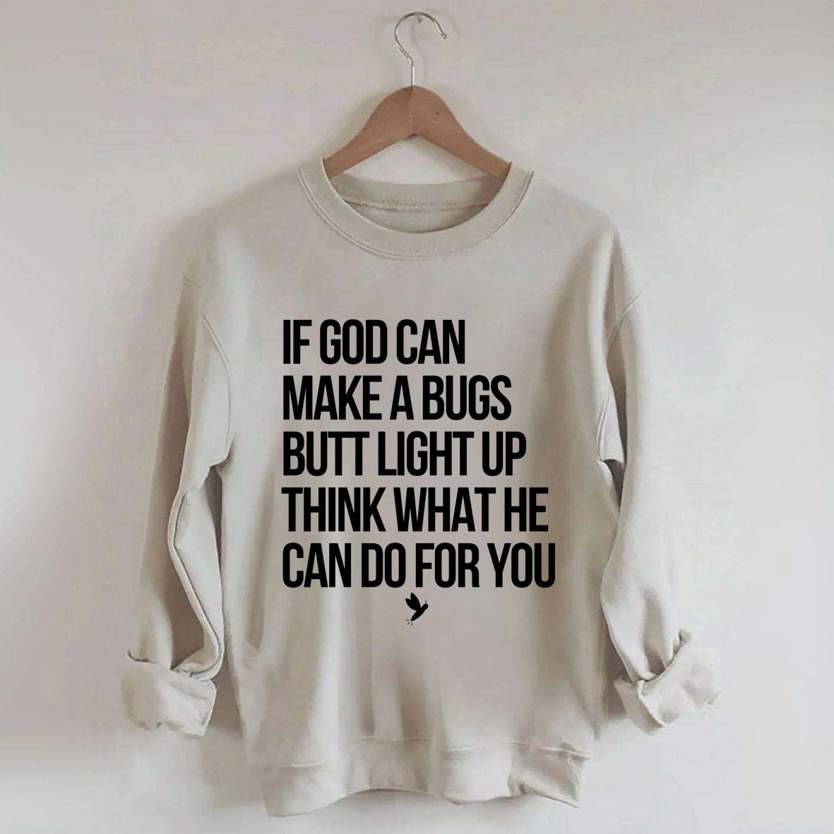 If God Can Make A Bug's Butt Light Up Think What He Can Do For You Sweatshirt