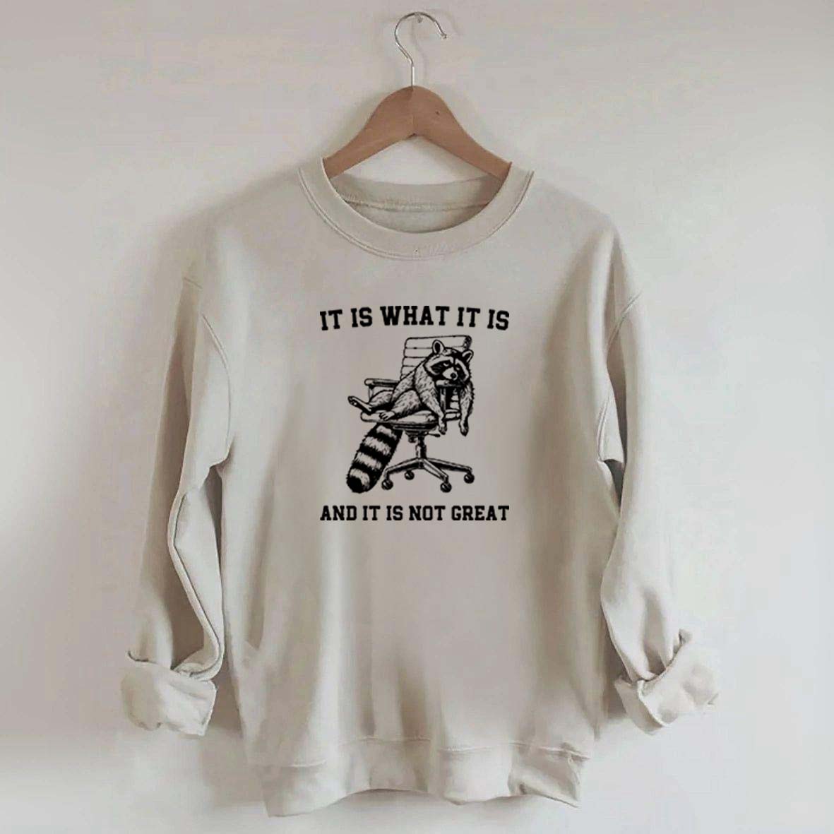 It Is What It Is Racoon Sweatshirt