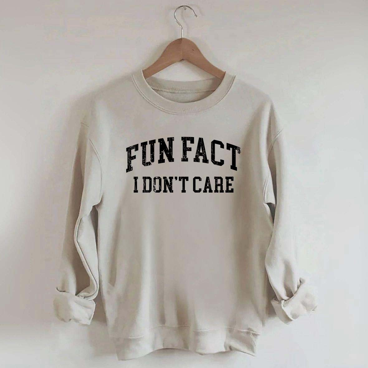 Fun Fact I Don't Care Sarcasm Sweatshirt