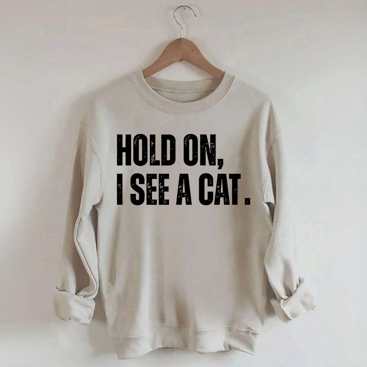 Hold On I See A Cat Sweatshirt