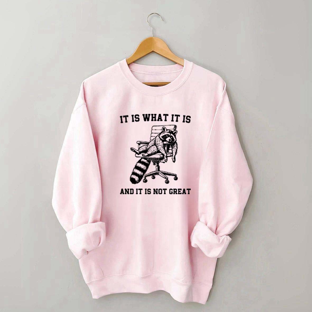 It Is What It Is Racoon Sweatshirt