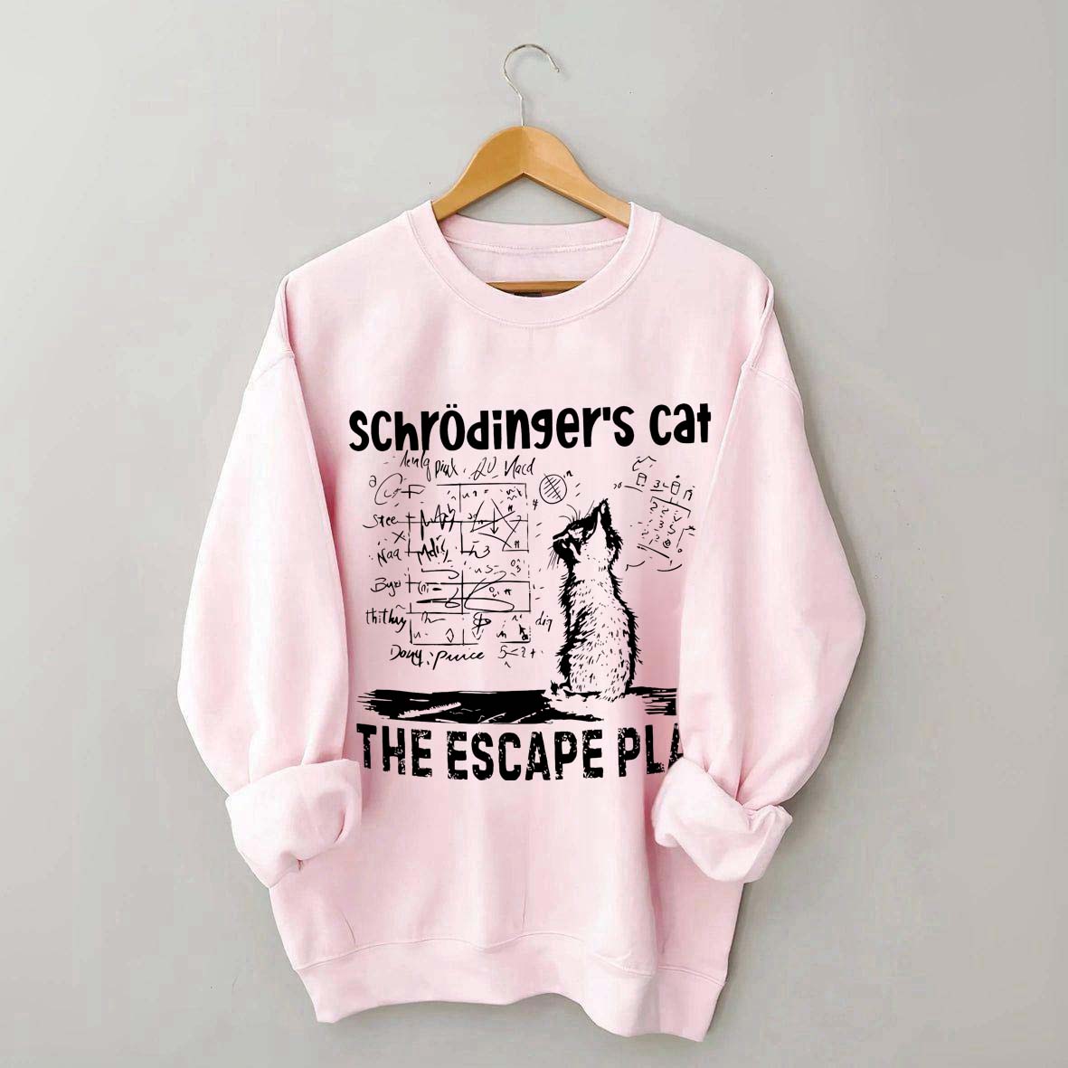 Funny Physics Science Cat Sweatshirt