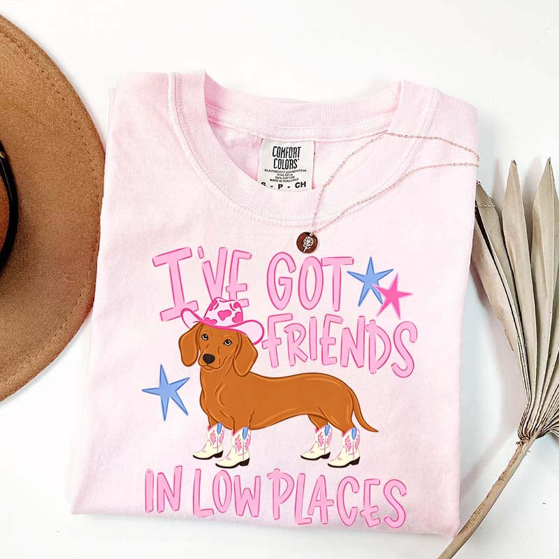 I've Got Friends In Low Places T-Shirt