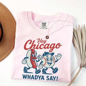 Hey Chicago Funny Baseball T-Shirt