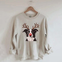Border Collie Christmas Sweatshirt
