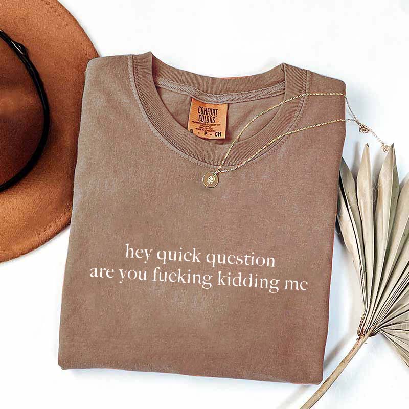 Hey Quick Question Are You Kidding Me T-Shirt