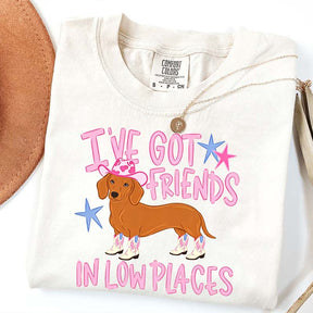 I've Got Friends In Low Places T-Shirt