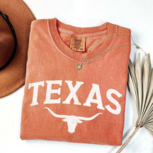 Comfort Colors Texas Travel T-Shirt
