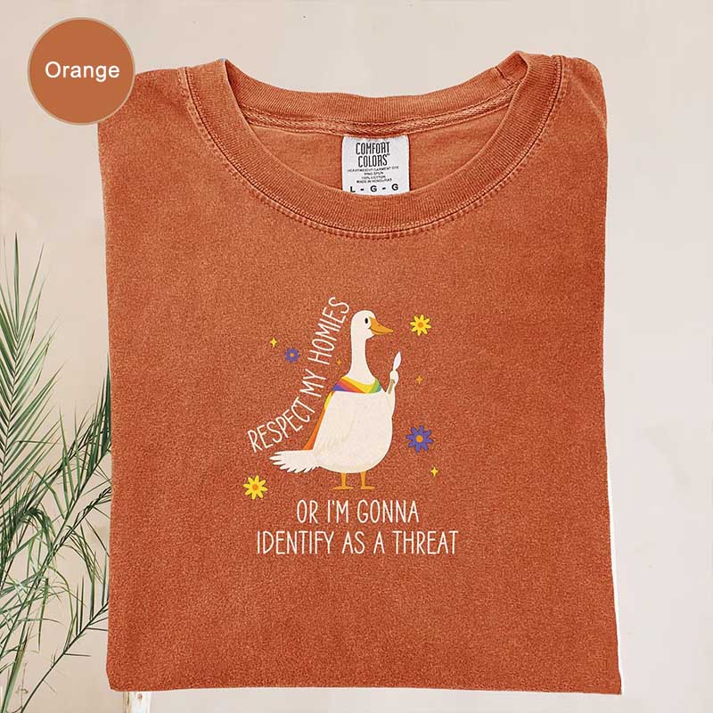Silly Goose Ally Pride Queer Rights T-Shirt